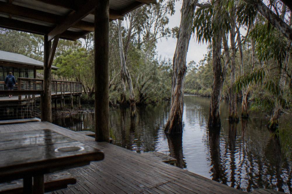 Still dark water in a narrow river channel lined with paperbark trees and reflected sky