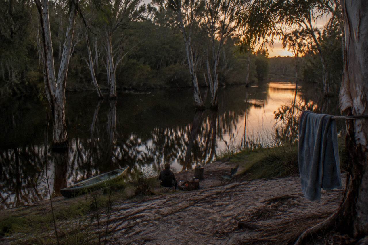 Dark tannin stained river water reflecting paperbark trees along a quiet upper Noosa River channel