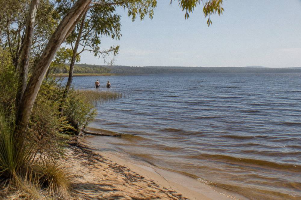 Morning light over a wide shallow lake with dark water and distant tree lined shoreline
