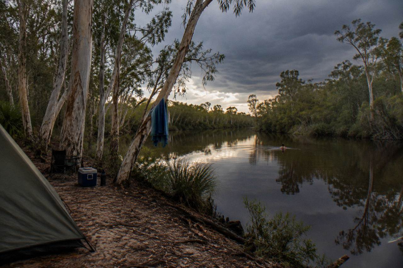 Dark tannin stained river water reflecting paperbark trees along the upper Noosa River