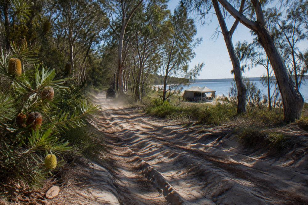 Sand track through coastal forest toward a beach camping area