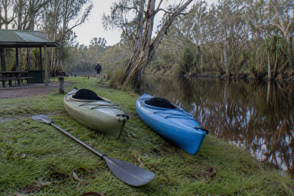 Kayaks pulled up on a grassy riverbank beside dark tannin water