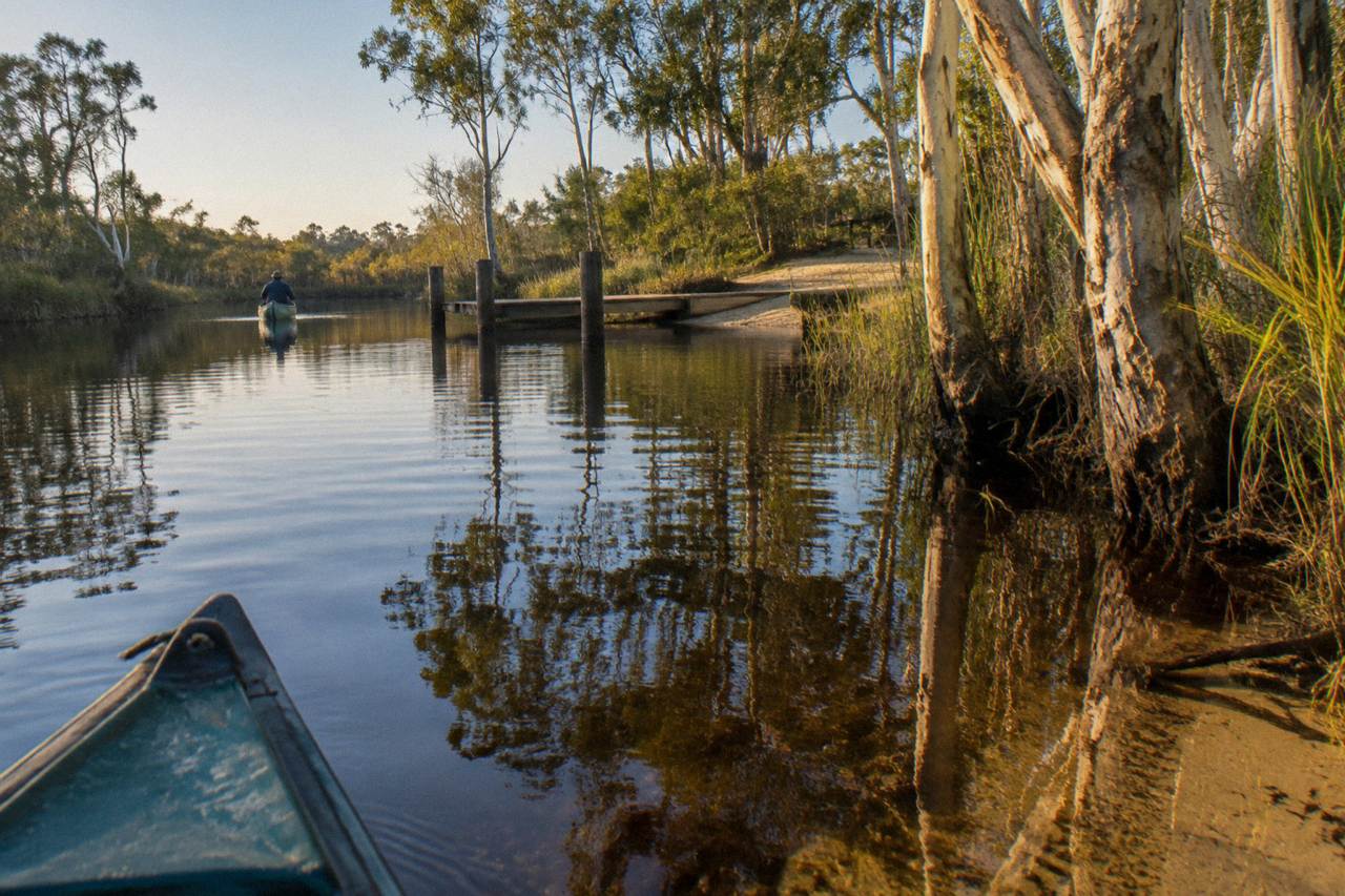 A calm river channel reflecting paperbark trees along the upper Noosa River