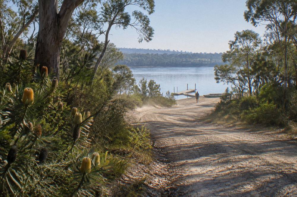 Gravel forest road leading toward a calm lake edge with tree-lined horizon