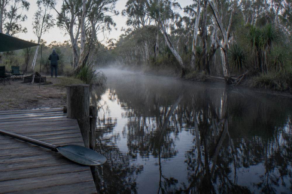 Still dark water reflecting paperbark trunks along a narrow river channel at dawn