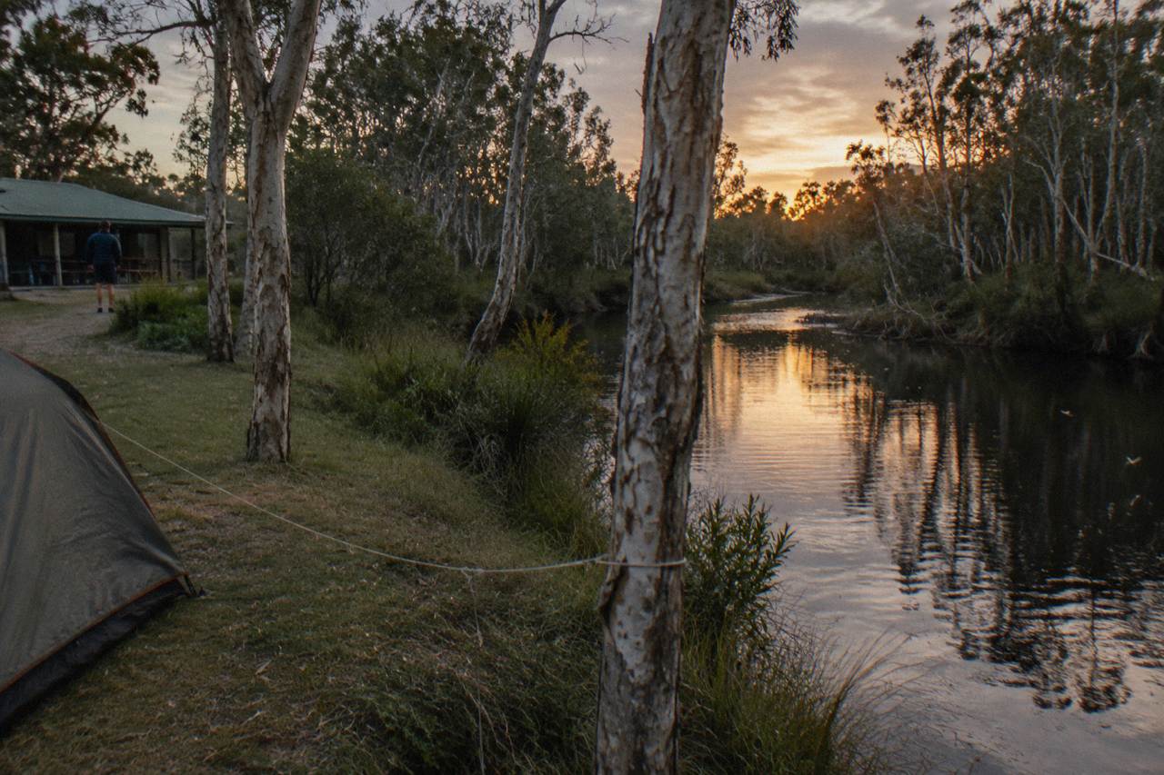 Dark tannin river bending past paperbark trees toward a grassy campsite clearing