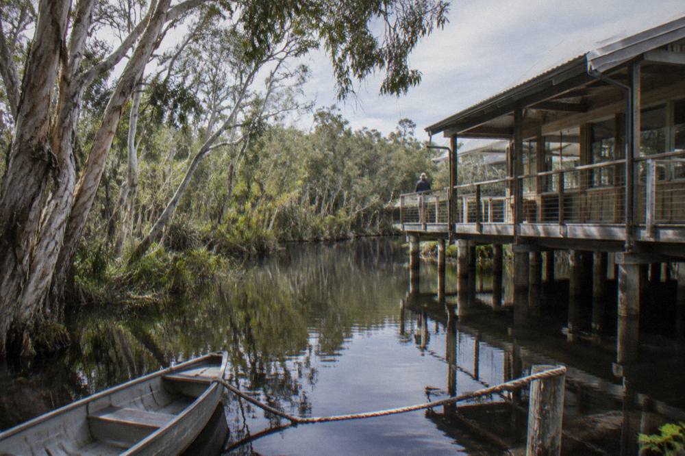 Quiet dark water of the upper Noosa River reflecting paperbark forest