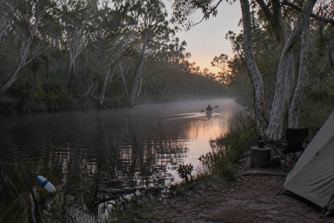 Calm tannin-dark river between paperbark trees on the upper Noosa River