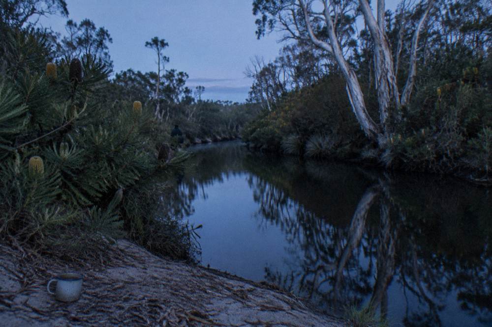 Long narrow river channel with still dark water and dense trees on both banks