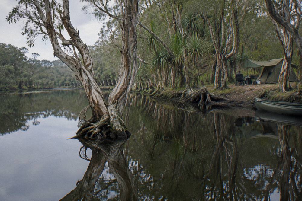 Calm dark water of the upper Noosa River with twisted paperbark trees reflected on the surface
