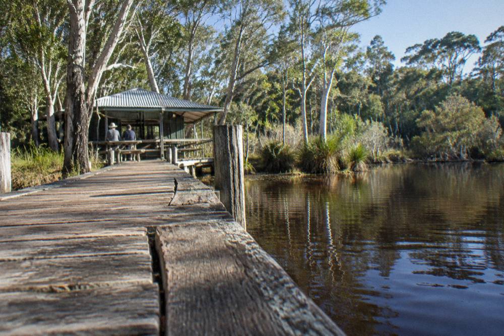 Wooden jetty on dark tannin water with forest lining the far bank of the upper Noosa River