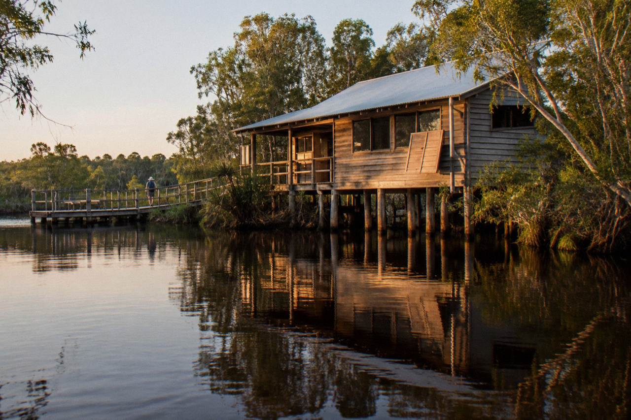 Still tannin-dark river water reflecting paperbark trees along a quiet upper Noosa River channel