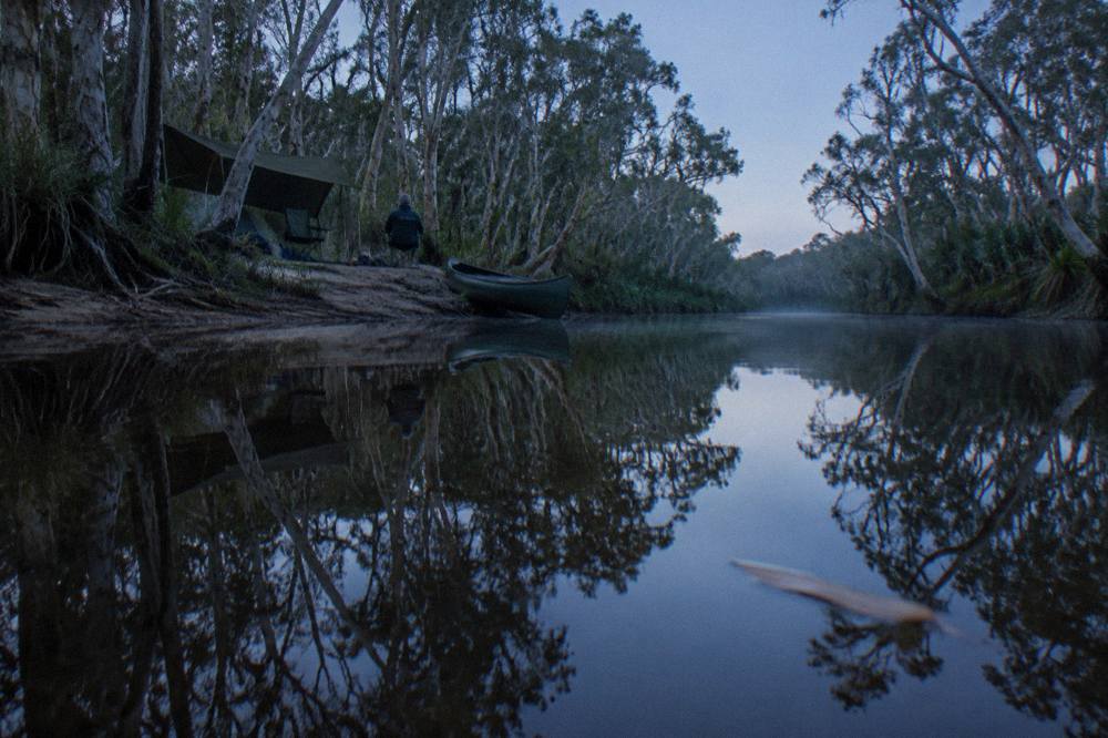 Dark tannin water reflecting dense paperbark forest along a narrow section of the upper Noosa River