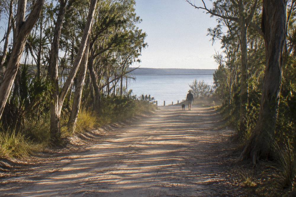 A quiet country road through paperbark forest leading toward Lake Cootharaba