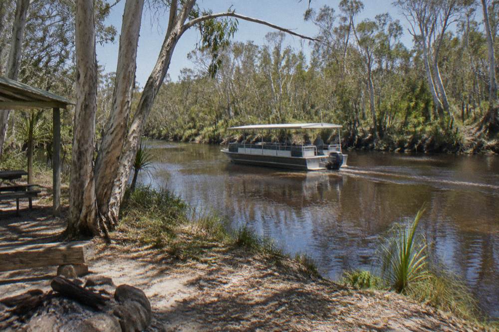 A small cruise boat on tannin-dark water between paperbark trees on the upper Noosa River