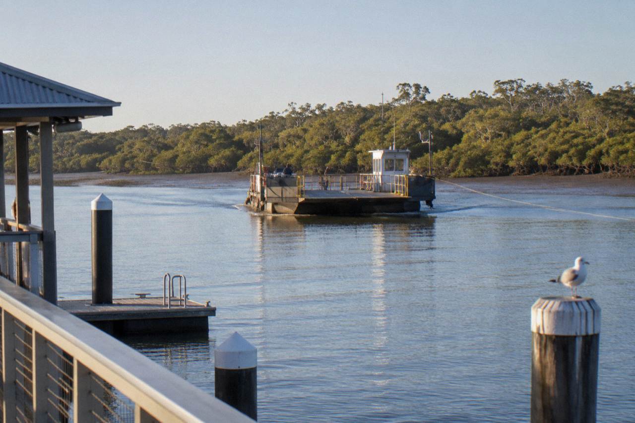 A vehicle ferry crossing a calm river channel near Tewantin with mangroves along the far bank