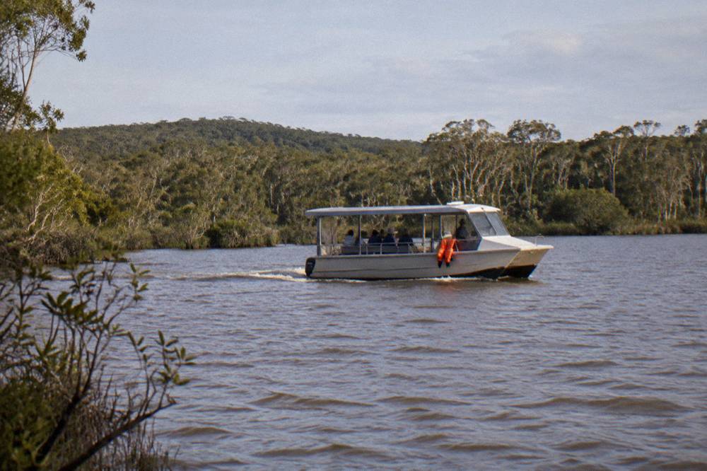 A small passenger boat cruising slowly between forested banks on dark water