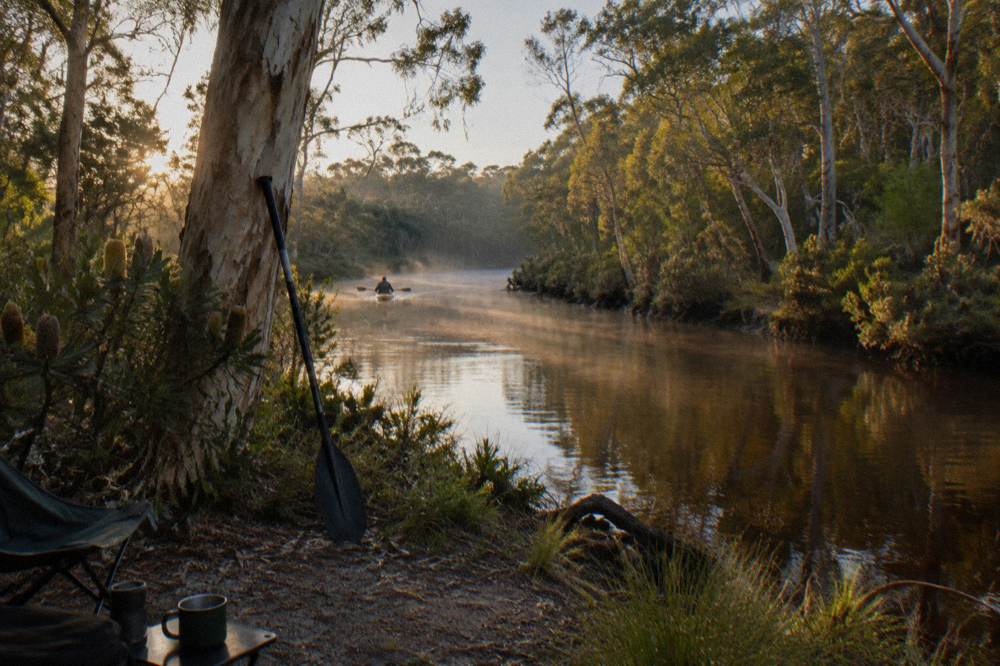 Golden early morning light on a calm tannin river between forested banks
