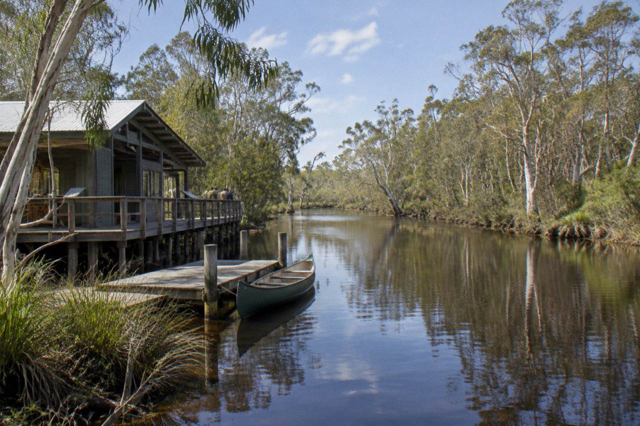 Dark tannin-stained river reflecting paperbark trees along a calm narrow waterway
