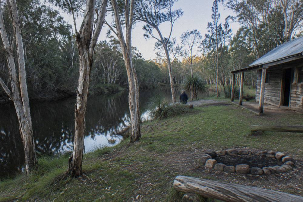 Paperbark trees lining still dark water at a river campsite clearing