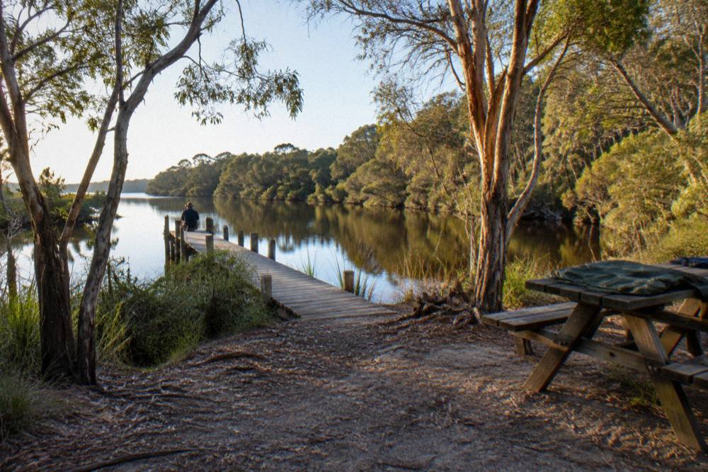 Timber jetty and camping clearing beside a quiet tannin river reach