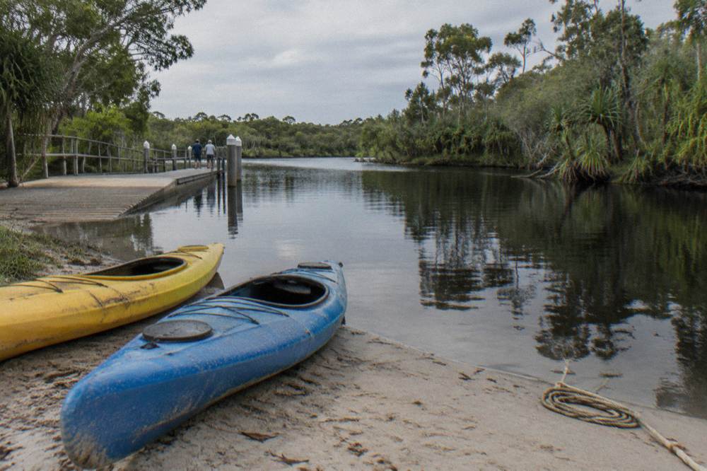 Kayaks resting on a bank beside dark reflective river water