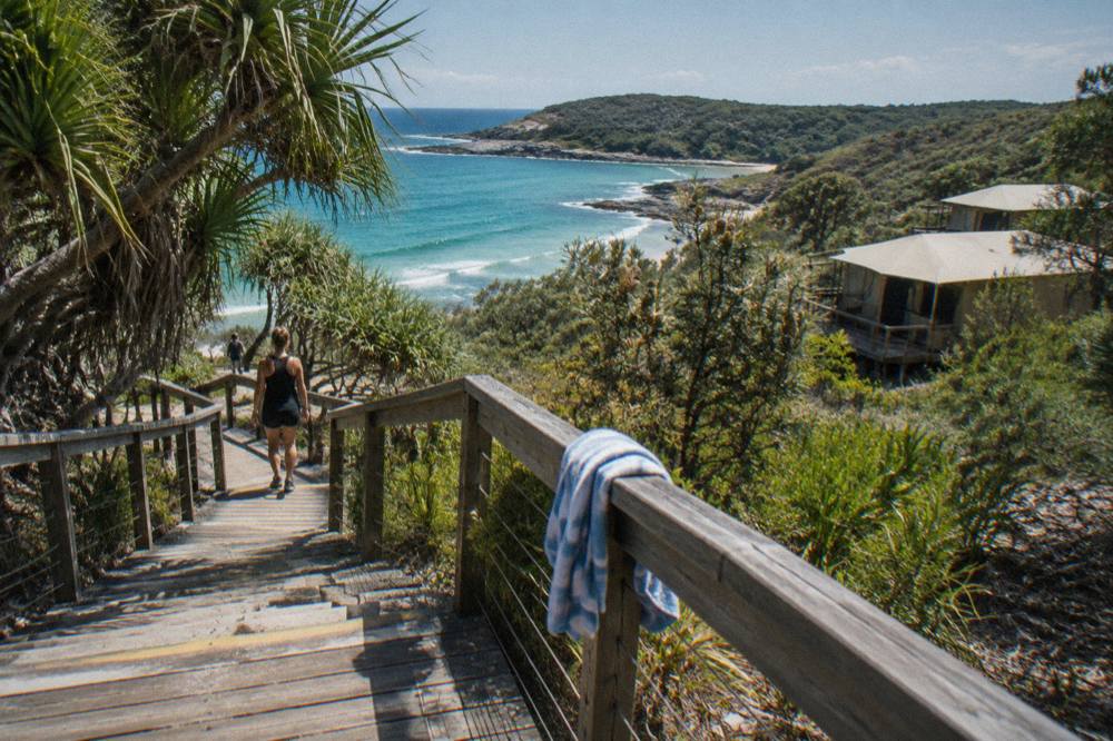 Boardwalk through coastal headland scrub above a turquoise bay