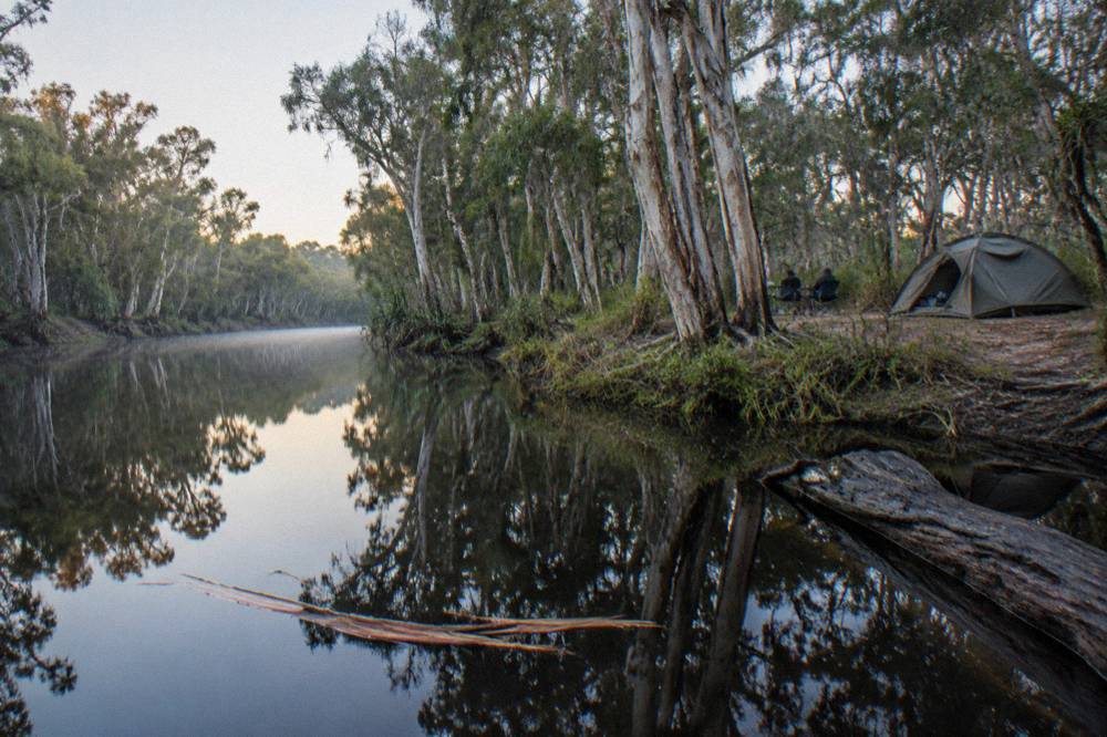 Mirror-still dark river reflecting dense paperbark forest on both banks
