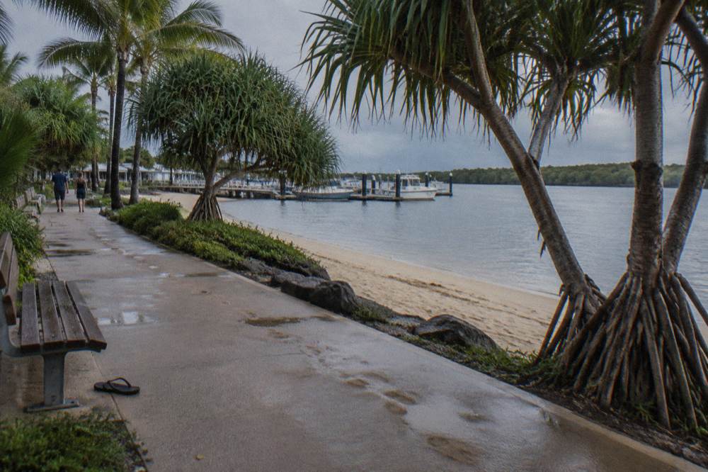 Beachfront promenade lined with palm trees beside a calm swimming beach