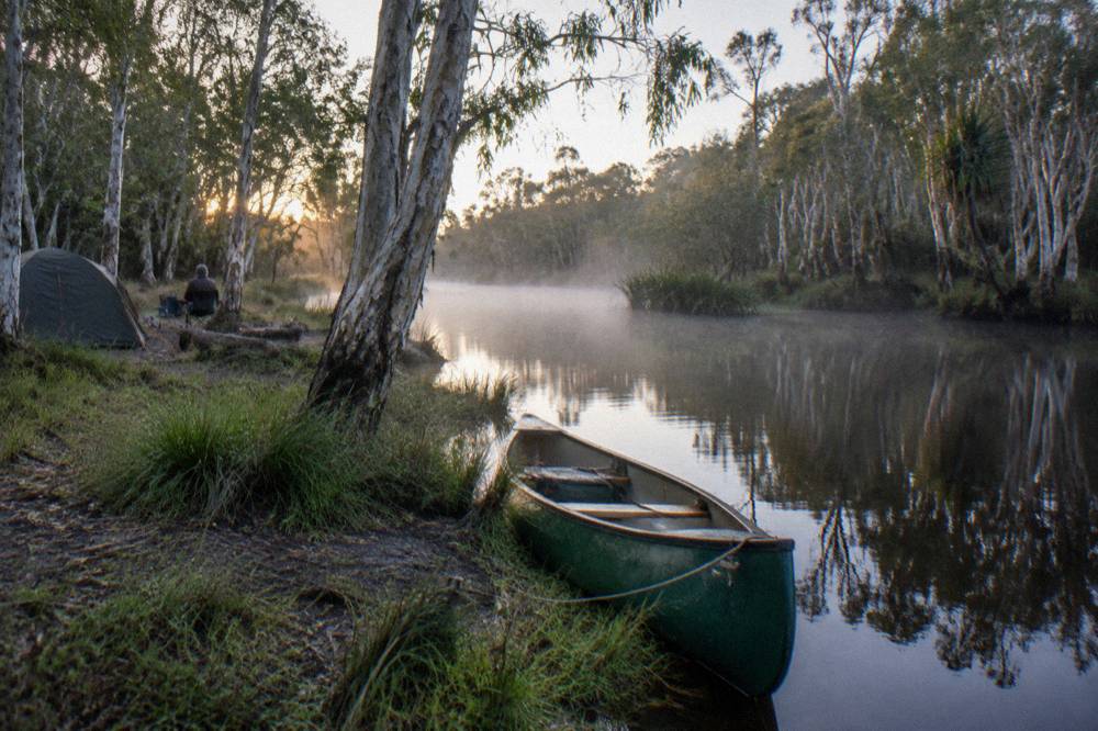 Early morning mist over a dark calm river with paperbark reflections