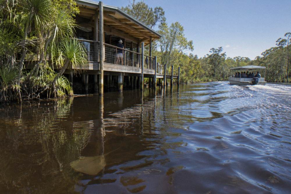 Narrow dark river between forested banks with a small boat wake trailing