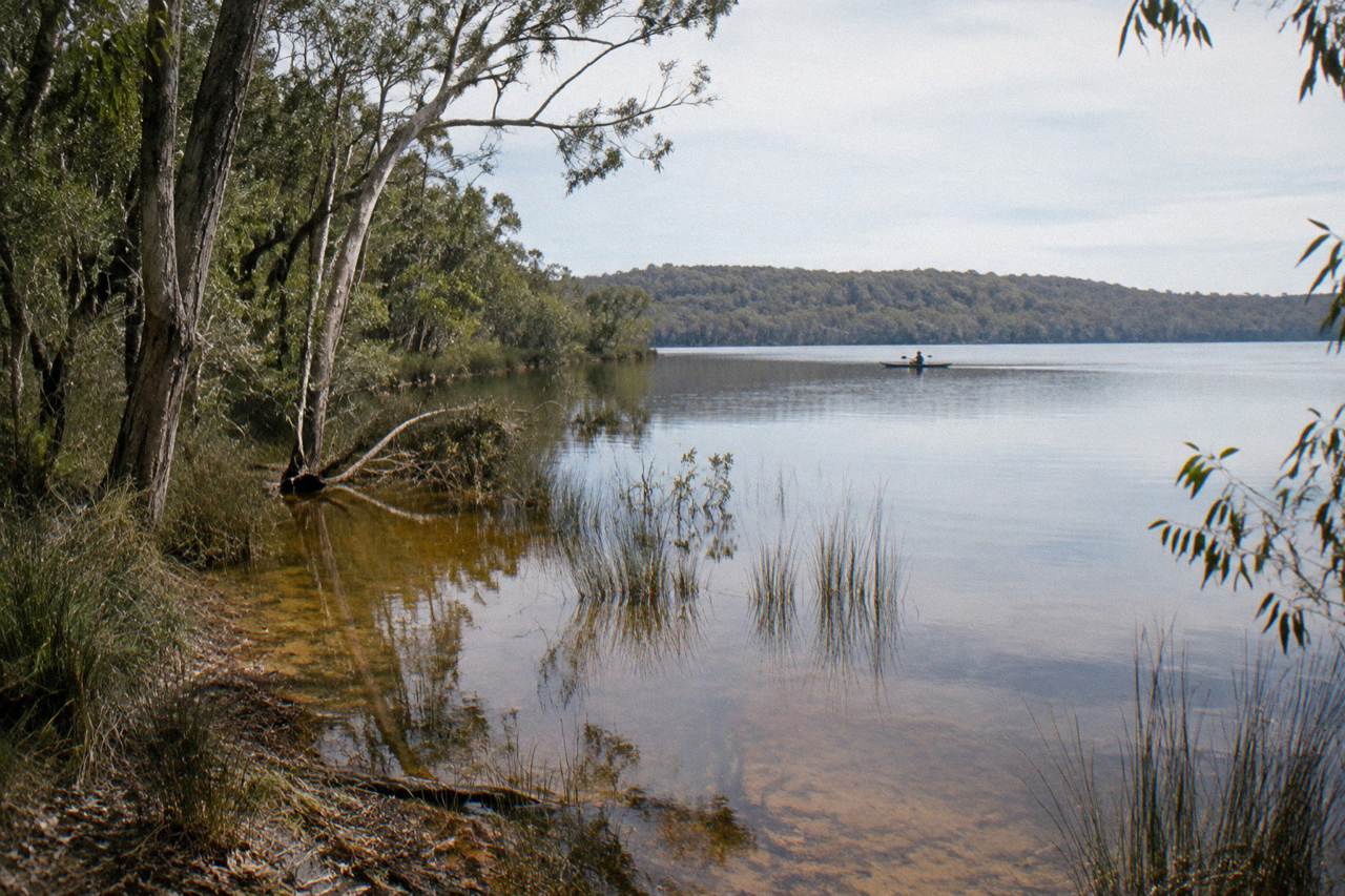 Calm tannin-dark river between paperbark trees reflecting the sky