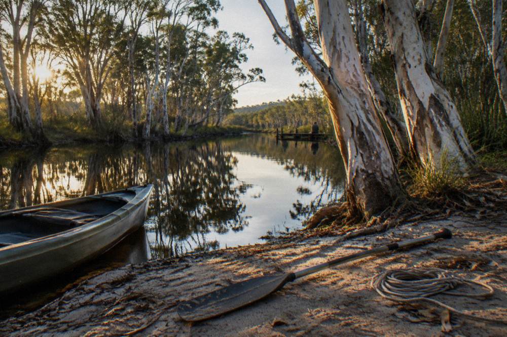 Early morning light on a dark river with paperbark reflections in still water