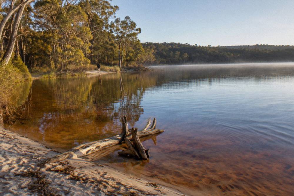 A wide calm lake with forested shoreline and low morning light