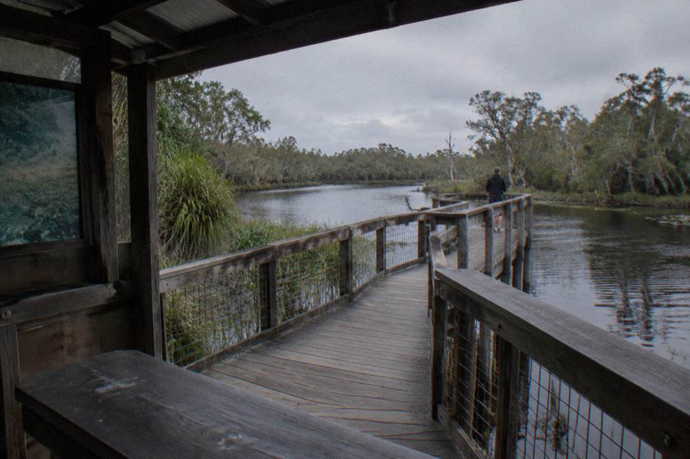 A wooden boardwalk and information shelter beside a river among tall trees
