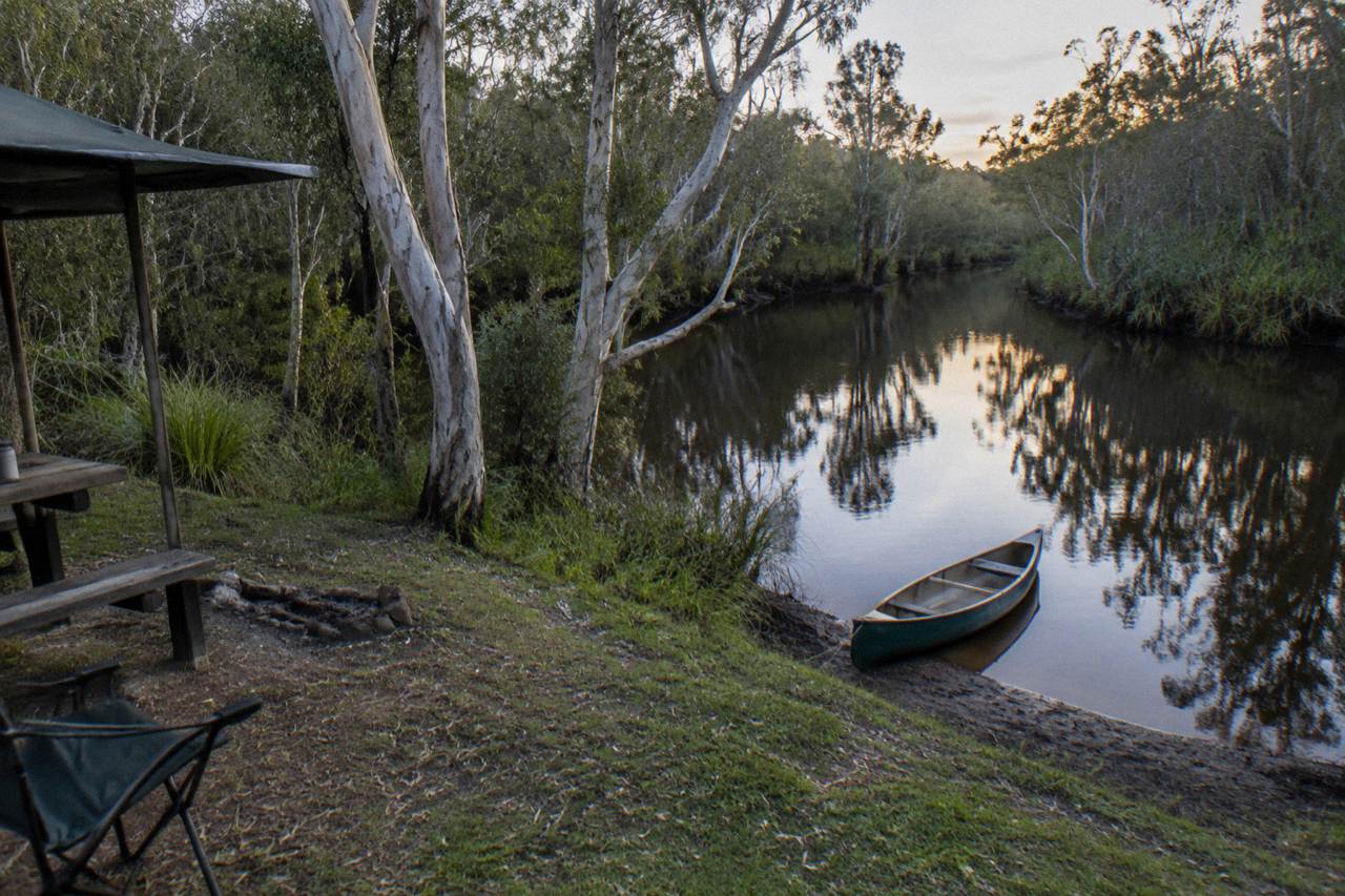 Dark tannin water reflecting paperbark trees along a calm narrow river