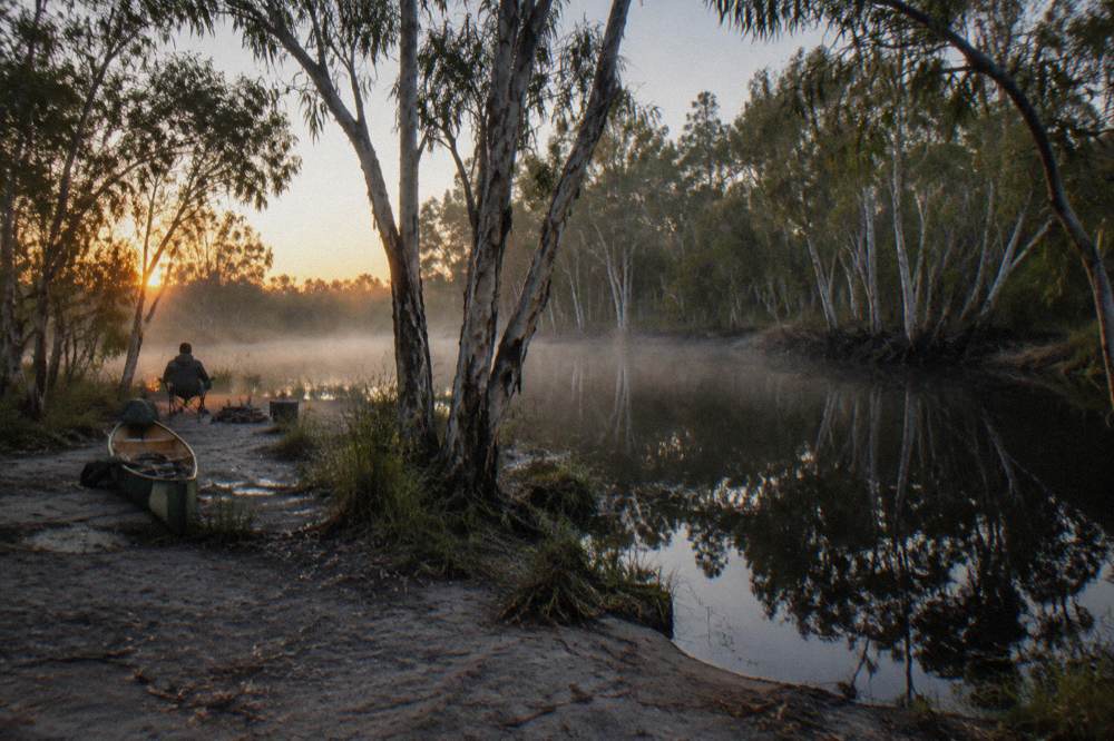 Still tannin river at sunrise with mirror reflections of paperbark trunks and low mist