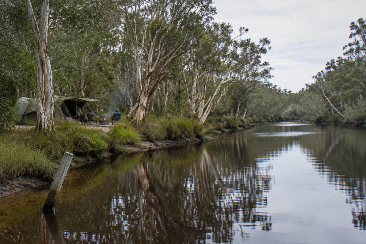Calm tannin stained river winding between paperbark trees under a pale sky