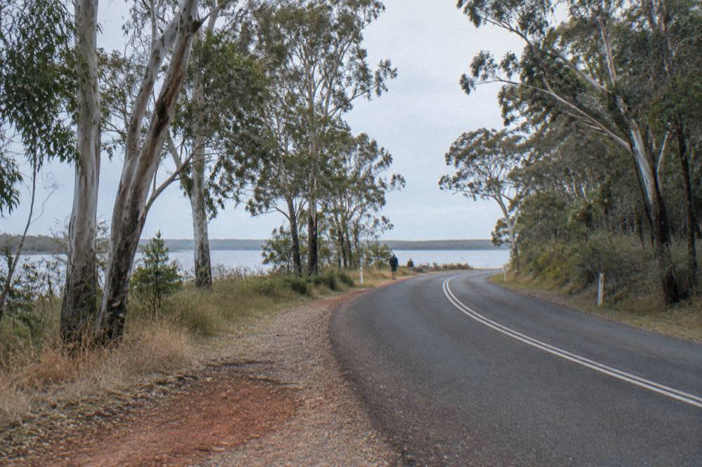 A sealed rural road curving through eucalypt forest toward the lake
