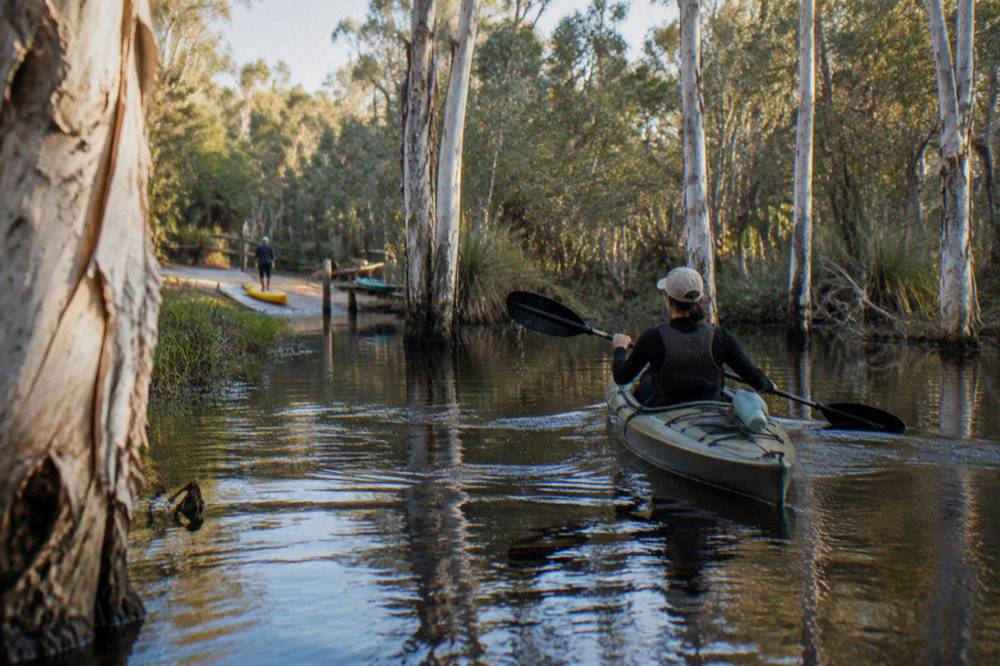A kayak gliding across dark tannin water between paperbark trees