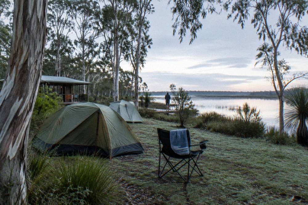 A lakeside campground with paperbark trees and still water at dawn