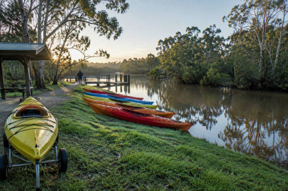 Kayaks lined up on a grassy bank beside calm brown water in early light