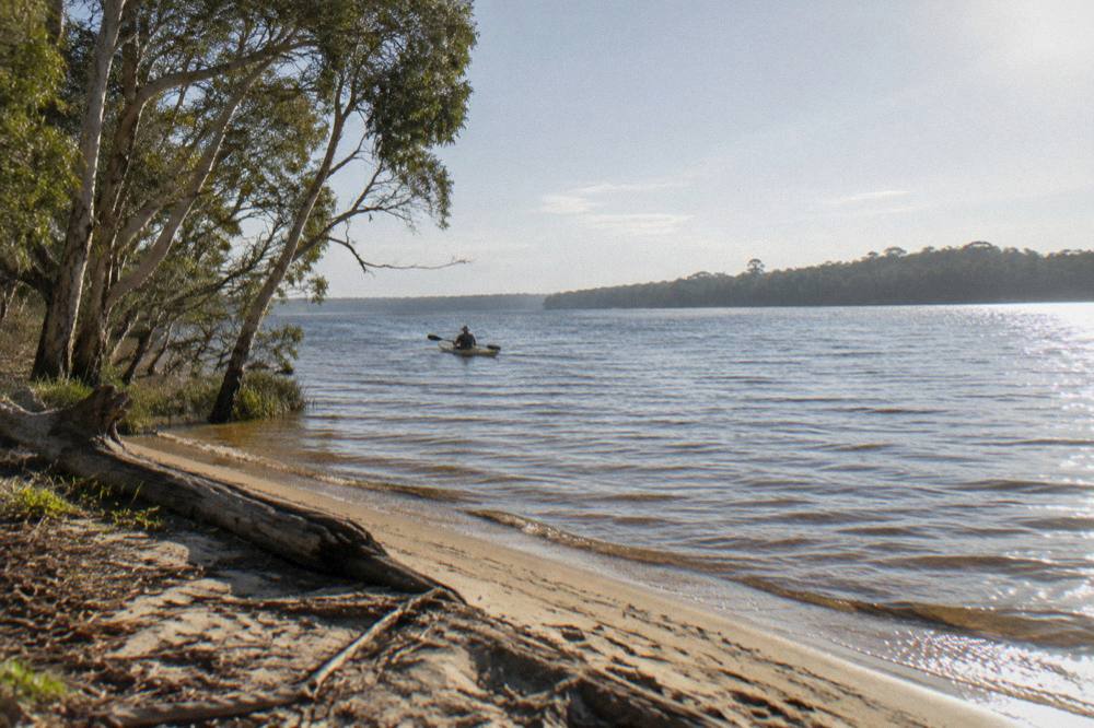 Early morning light on a wide shallow lake with forest on the far shore