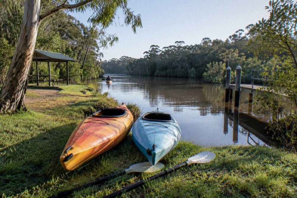 Kayaks pulled up on a grassy bank beside a quiet brown-water river