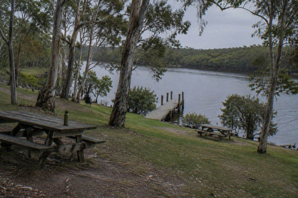 Timber jetty and picnic tables on a grassy riverbank under tall trees