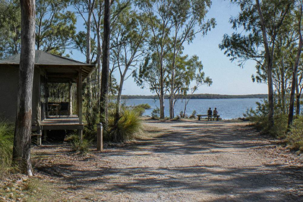 A gravel road leading through open eucalypt forest toward a calm lake shoreline