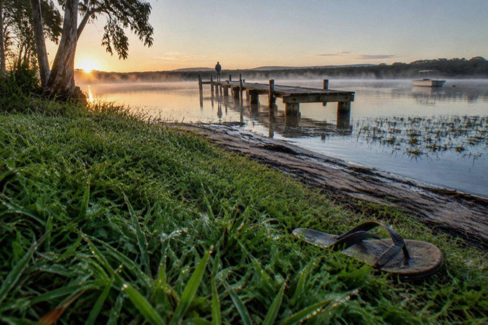 Grassy lake foreshore with a small jetty and still water at dawn