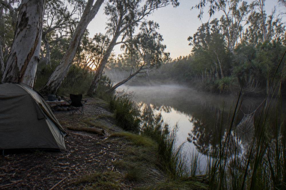Morning mist over tannin water and paperbark forest on the upper Noosa River