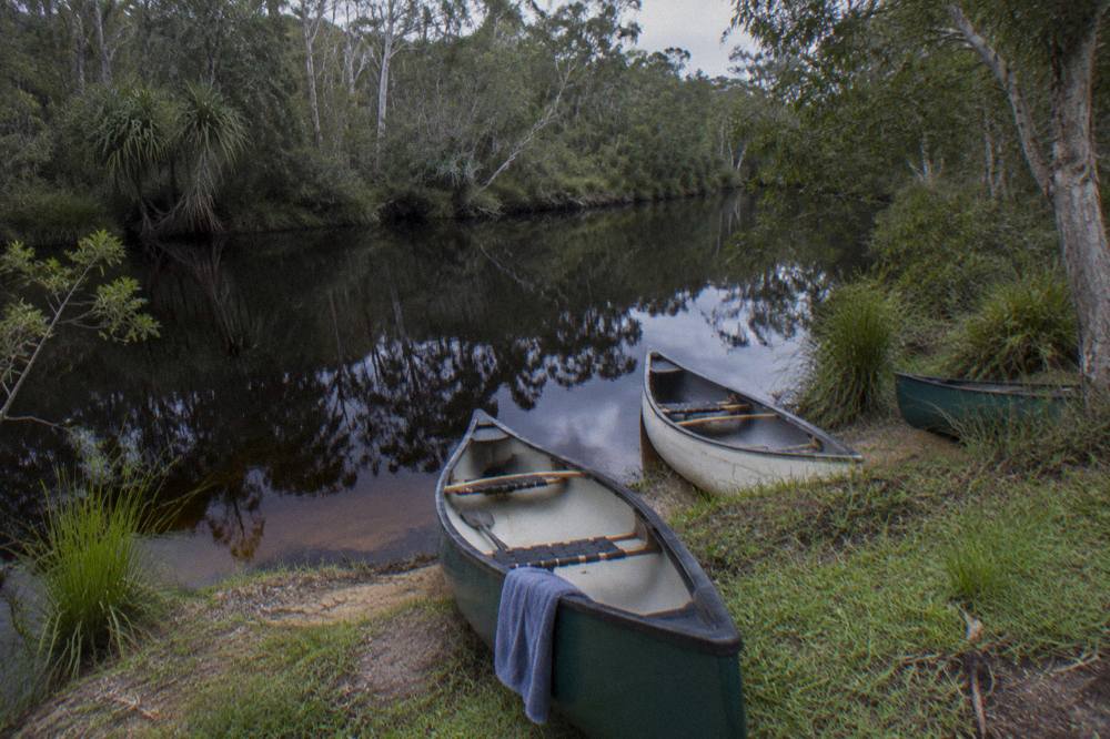 Canoes pulled up on a grassy bank beside a narrow tannin-stained river with forest reflections