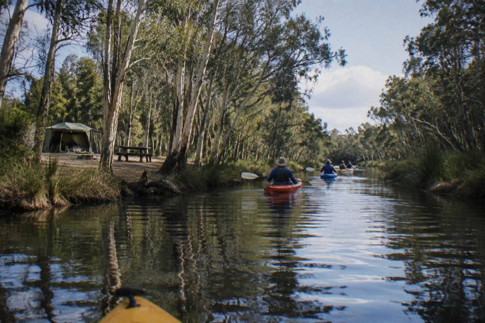Guided kayakers in a line paddling down a narrow reflective river between paperbark trees